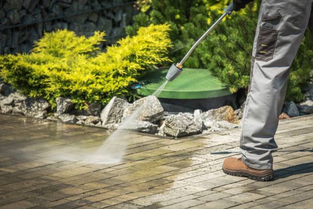 Best Sidewalk and Walkway Cleaning  in Bryan, TX